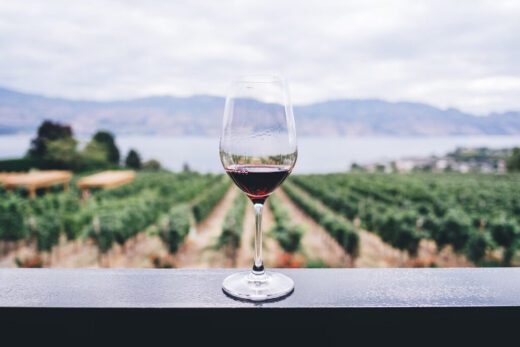 Die besten 10 Weine aus Südafrika
